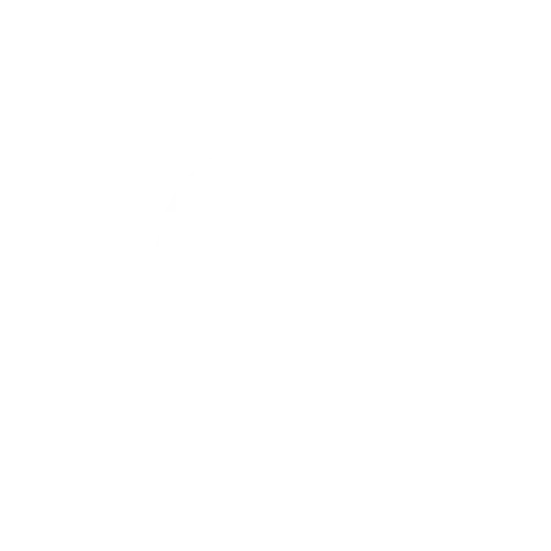 Gig Carshare Logo Icon