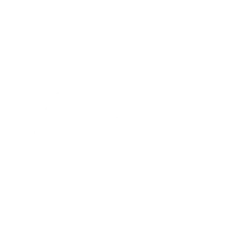 Nike Logo Icon