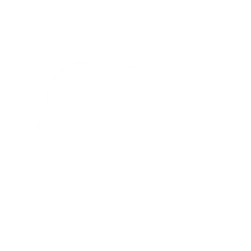 Salsforce Logo Icon