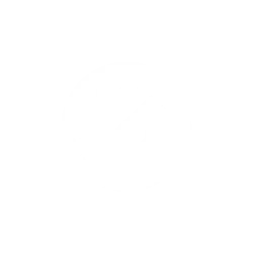 Wasabi Logo Icon